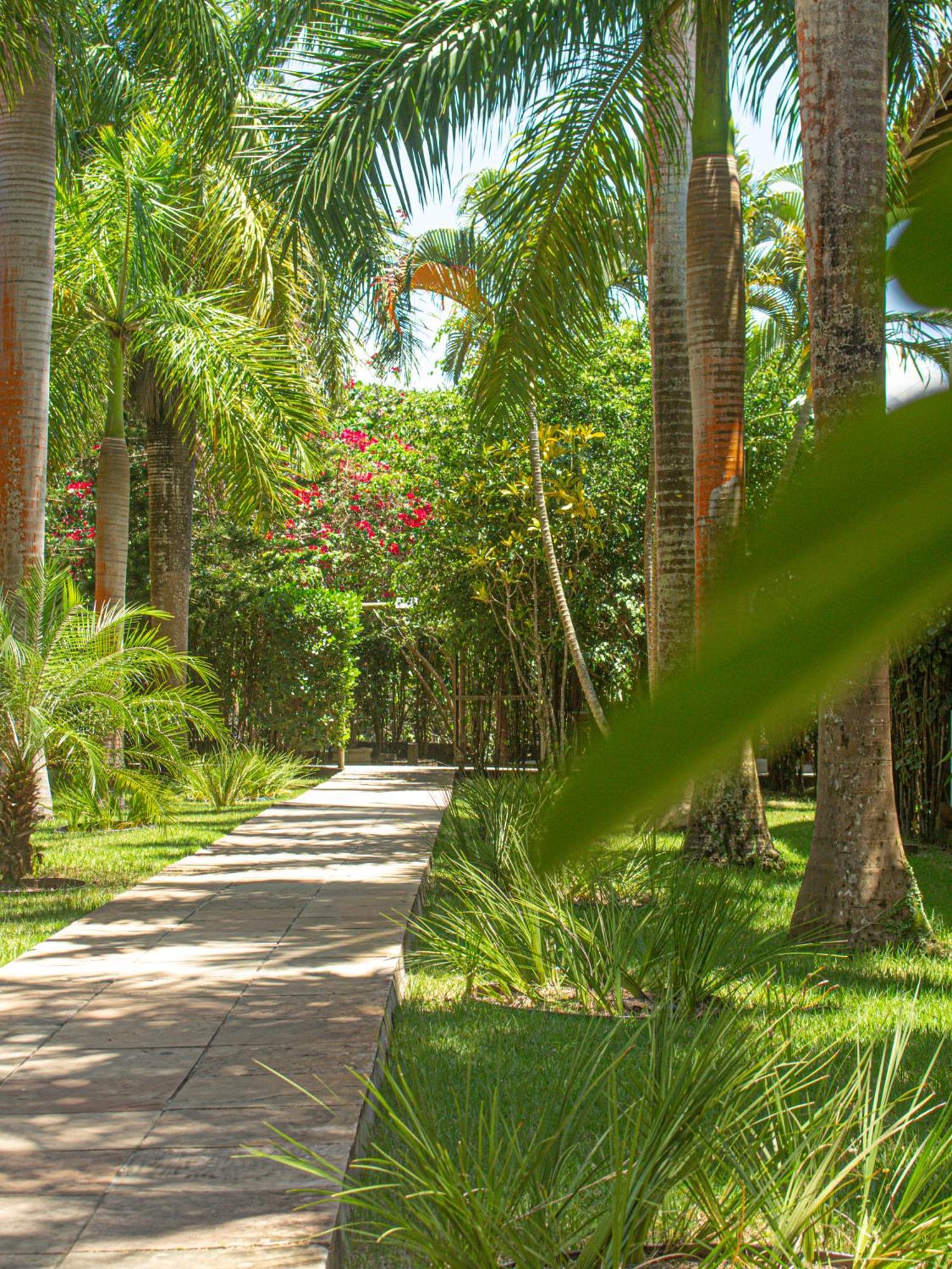 Sunshine Praia Hotel Porto Seguro Exterior photo